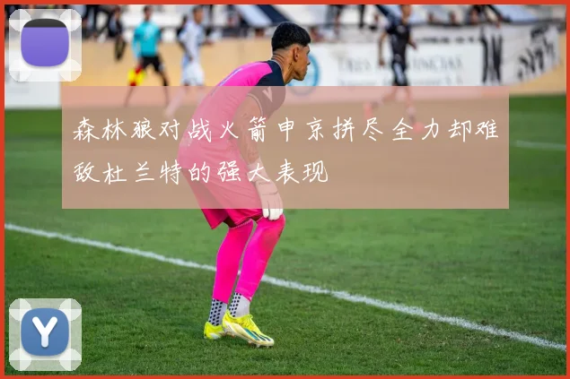 森林狼对战火箭申京拼尽全力却难敌杜兰特的强大表现